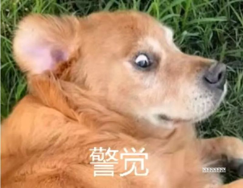 (路由器总断网？先检查这两个设置，超过60%的问题自己解决)